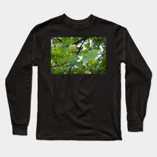 Oh, That's why it's Called a tulip tree Long Sleeve T-Shirt